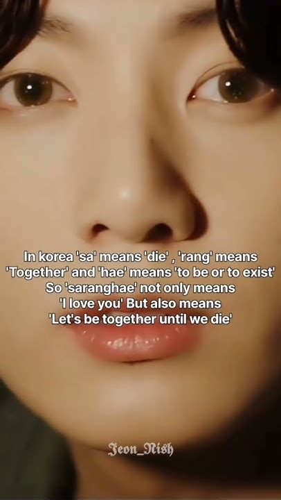 what is mean by saranghae